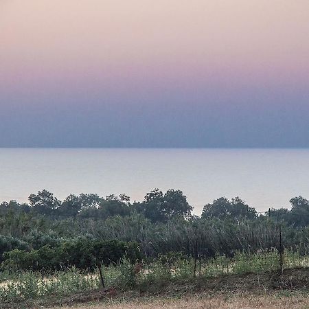 Villa Manoutsio Episkopi-Chania Buitenkant foto